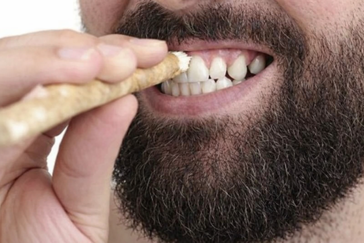Natürliche Miswak Zahnbürste